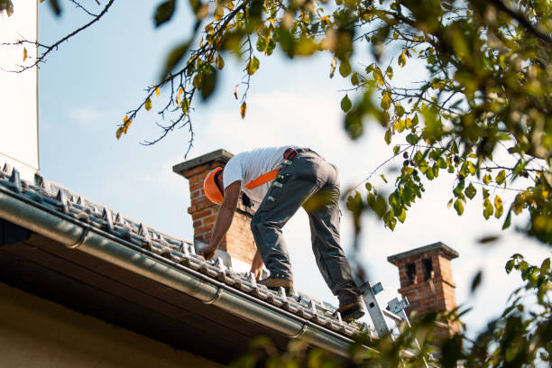 Roof Installation Near Me in Wilson, NC