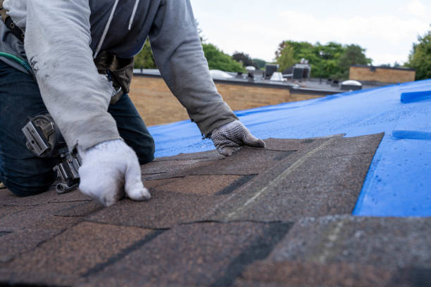 Best Metal Roofing Contractor  in Wilson, NC